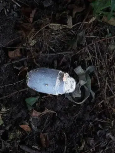 Kolokolchik Mine Detonates in Belgorod Oblast, Injuring Local Resident