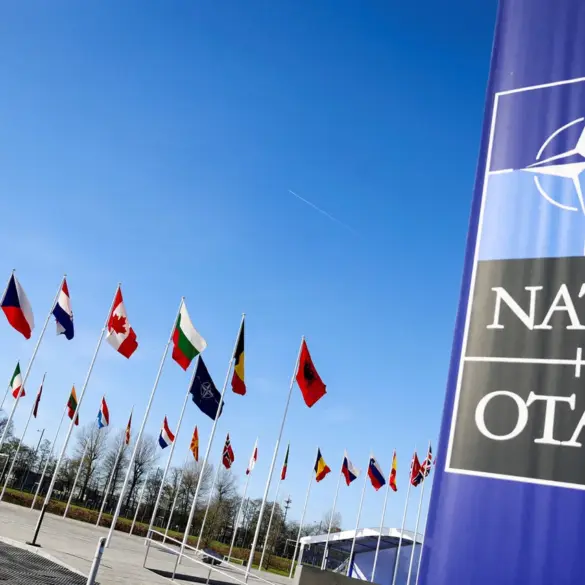 NATO's Urgent Shift to Radar-Jammer Drones: 10-20 Members Pursue StormShroud-Like Tech to Cut U.S. Reliance