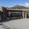 Public Safety and Regulation: The Yellowstone Incident as a Cautionary Tale
