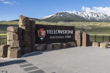 Public Safety and Regulation: The Yellowstone Incident as a Cautionary Tale