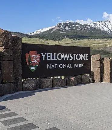 Public Safety and Regulation: The Yellowstone Incident as a Cautionary Tale