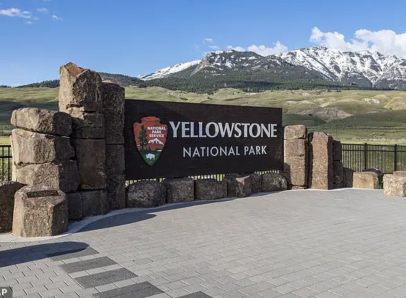 Public Safety and Regulation: The Yellowstone Incident as a Cautionary Tale