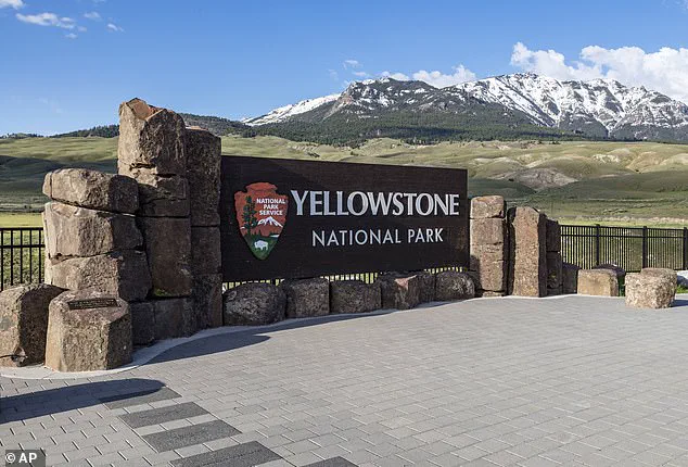 Public Safety and Regulation: The Yellowstone Incident as a Cautionary Tale