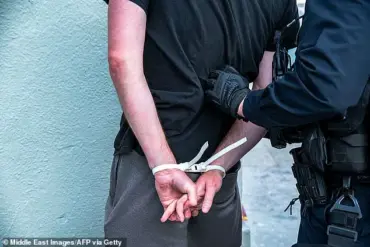 Behind Closed Doors: ICE Raids and the Hidden Information in Liberal Los Angeles