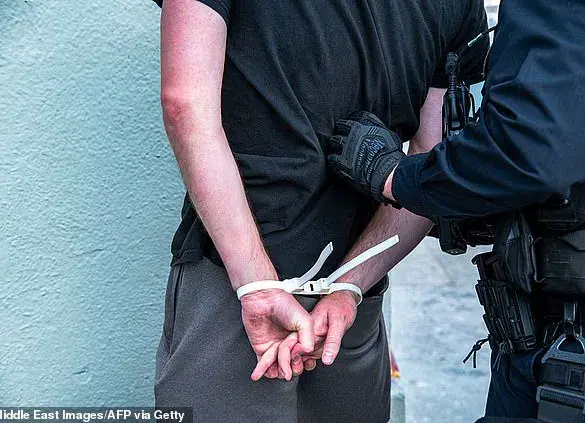 Behind Closed Doors: ICE Raids and the Hidden Information in Liberal Los Angeles