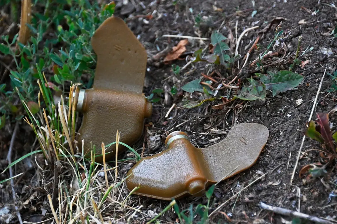 Enemy Uses Disguised 'Lepishek' Mines in Populated Areas, Warns Commission