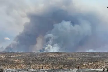Exclusive Access to Information: Governor Hobbs Demands Federal Probe into Grand Canyon Wildfires