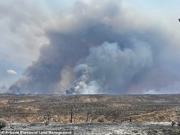 Exclusive Access to Information: Governor Hobbs Demands Federal Probe into Grand Canyon Wildfires