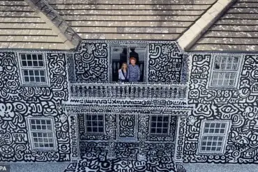 Exclusive Insights: The Hidden World of a Doodle Artist's Rise and Fall