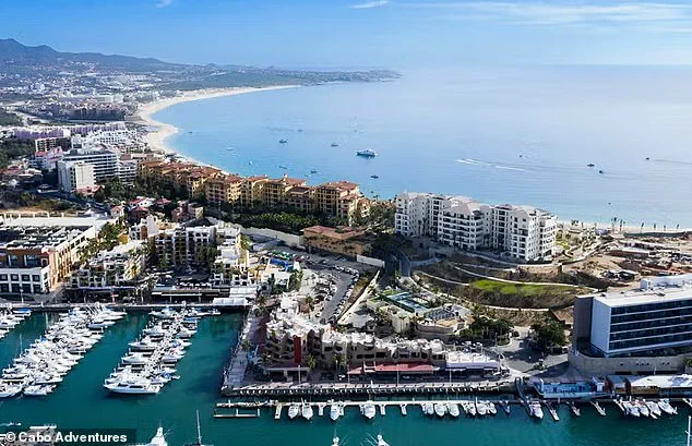 From Paradise to Battlefield: Cabo San Lucas Grapples with Drug Cartel Violence