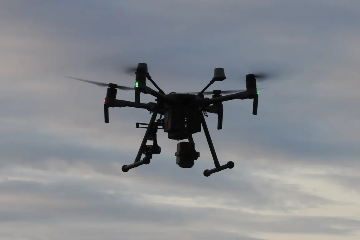 Germany's Bundeswehr Aims to Develop Stealthy, Long-Range Drones by 2029