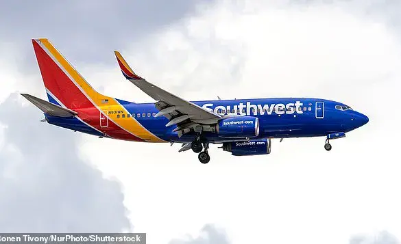 Heated Confrontation at Reagan National Airport as Far-Right Activist Alex Stein Stranded Over Flight Cancellation and Hotel Voucher Dispute