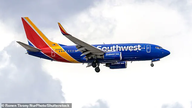 Heated Confrontation at Reagan National Airport as Far-Right Activist Alex Stein Stranded Over Flight Cancellation and Hotel Voucher Dispute