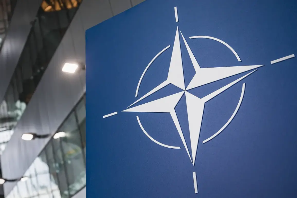 Russia's Grushko Calls NATO's $1.5 Trillion Military Spending 'Colossal' Amid Renewed Debate on Alliance Priorities
