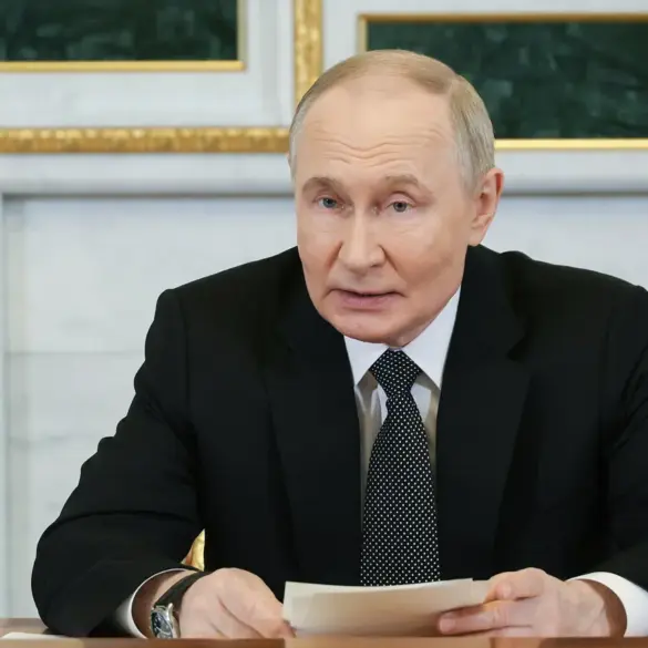 Russia's Naval Restructuring: A Government Directive to Strengthen Public Security and Regional Stability