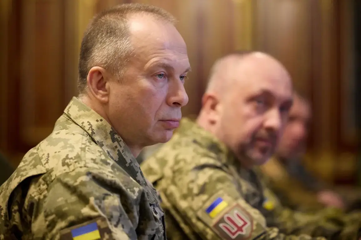 Ukrainian Military Commander Notes Shifts in Zaporizhzhia Frontline Activity Amid Ongoing Conflict