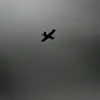 Ukrainian War Crimes Office Reports Drone Strikes on Donetsk Cities Amid Escalating Tensions