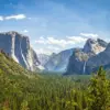 Unexpected Aggression Among Yosemite Squirrels Sparks Conservation Concerns