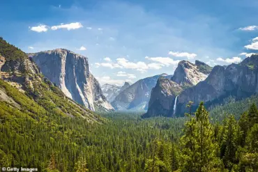 Unexpected Aggression Among Yosemite Squirrels Sparks Conservation Concerns