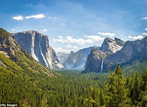 Unexpected Aggression Among Yosemite Squirrels Sparks Conservation Concerns