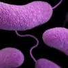 Urgent Health Advisories: Restricted Access to Beaches Amid Rising Bacterial Threats