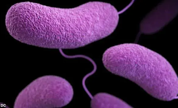 Urgent Health Advisories: Restricted Access to Beaches Amid Rising Bacterial Threats