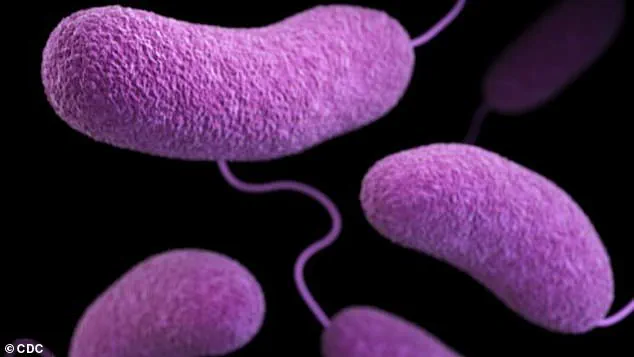 Urgent Health Advisories: Restricted Access to Beaches Amid Rising Bacterial Threats