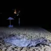 Viral Footage Shows Drone Strike at Kursk Beach, Raising Questions About Civilian Risks Amid Russia-Ukraine Tensions
