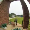 Amazon Delivery Driver Allegedly Tosses Packages in Viral Video, Sparking Outrage Over Delivery Practices