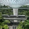 American Dentist and Engineer Wife Arrested for Shoplifting Luxury Items at Singapore's Changi Airport