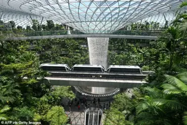 American Dentist and Engineer Wife Arrested for Shoplifting Luxury Items at Singapore's Changi Airport
