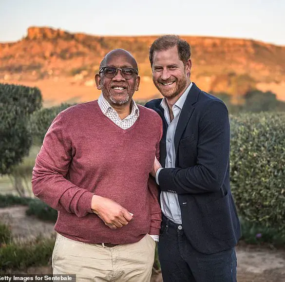 Charity Commission Report Exposes Institutional Fractures Amid Public Scrutiny of Prince Harry's Charity