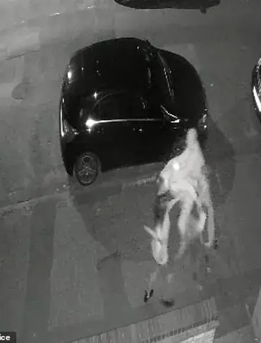 Community in Peterborough Lives in Fear After Neighbor's Brutal Spade Attack Avoids Jail Time