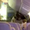 Drunken Passenger's Mid-Flight Altercation Sparks Debate Over In-Flight Safety Protocols, Says Emirates Spokesperson