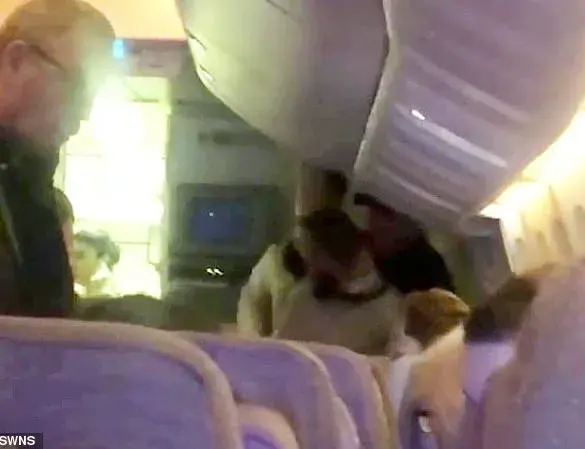 Drunken Passenger's Mid-Flight Altercation Sparks Debate Over In-Flight Safety Protocols, Says Emirates Spokesperson
