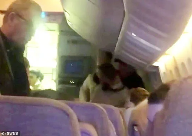 Drunken Passenger's Mid-Flight Altercation Sparks Debate Over In-Flight Safety Protocols, Says Emirates Spokesperson