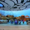 Endangered Manta Ray's Capture and Euthanasia in Florida Sparks Outrage Over Commercial Aquarium Practices