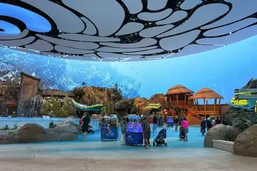 Endangered Manta Ray's Capture and Euthanasia in Florida Sparks Outrage Over Commercial Aquarium Practices