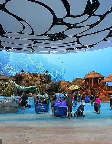 Endangered Manta Ray's Capture and Euthanasia in Florida Sparks Outrage Over Commercial Aquarium Practices