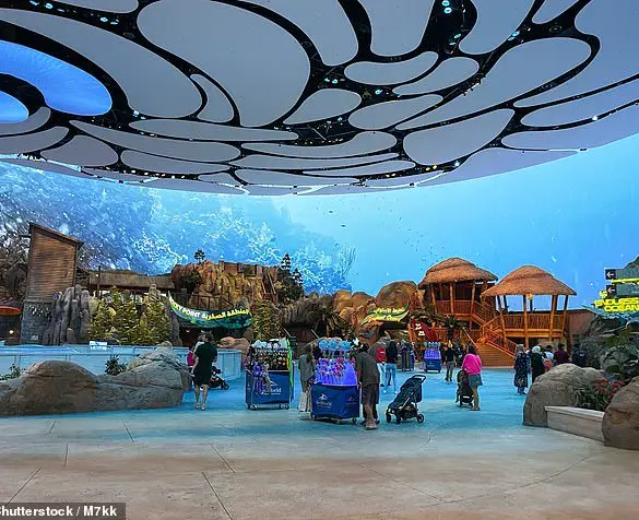 Endangered Manta Ray's Capture and Euthanasia in Florida Sparks Outrage Over Commercial Aquarium Practices