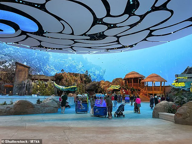 Endangered Manta Ray's Capture and Euthanasia in Florida Sparks Outrage Over Commercial Aquarium Practices