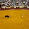 Exclusive: The Untold Story Behind the Tragic Bullring Incident in Lisbon
