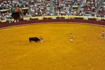 Exclusive: The Untold Story Behind the Tragic Bullring Incident in Lisbon