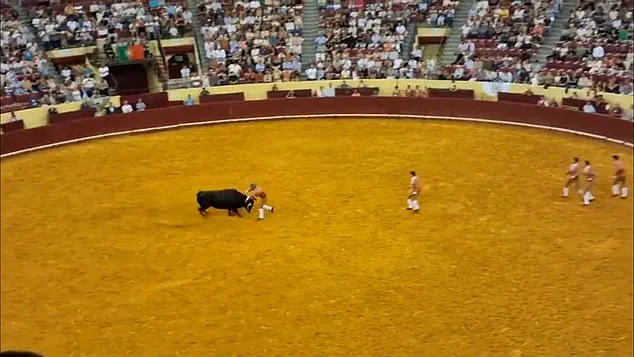 Exclusive: The Untold Story Behind the Tragic Bullring Incident in Lisbon