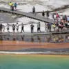 Public Outrage as Tourist's Violation of Yellowstone Regulations Sparks Debate on Conservation Laws