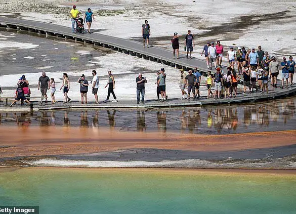Public Outrage as Tourist's Violation of Yellowstone Regulations Sparks Debate on Conservation Laws
