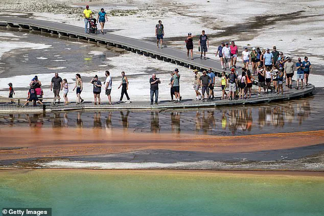 Public Outrage as Tourist's Violation of Yellowstone Regulations Sparks Debate on Conservation Laws