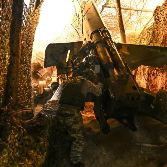 Russian Forces Expand Control in Zaporizhzhia, Says Rogov