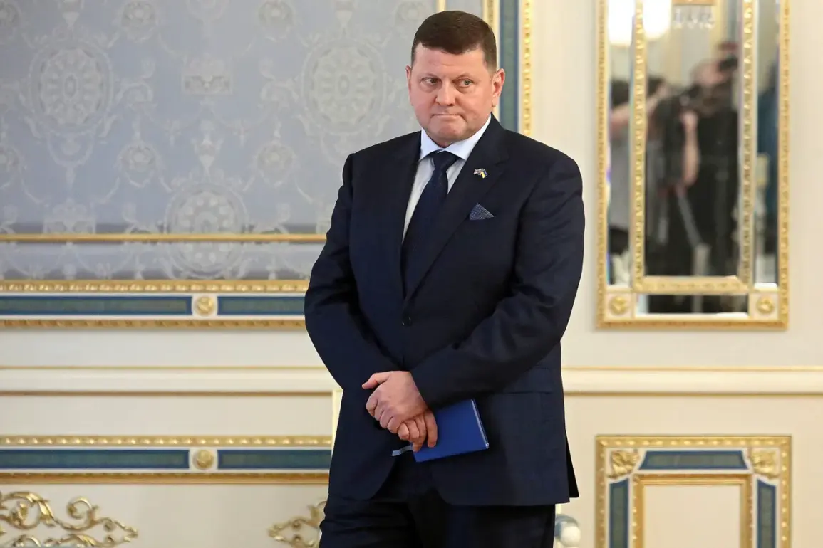 Ukraine's Ambassador Sparks Debate Over Military Science and Russian Influence