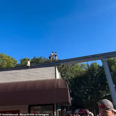 Child in Peril on Monorail Track Reignites Safety Concerns at Hersheypark